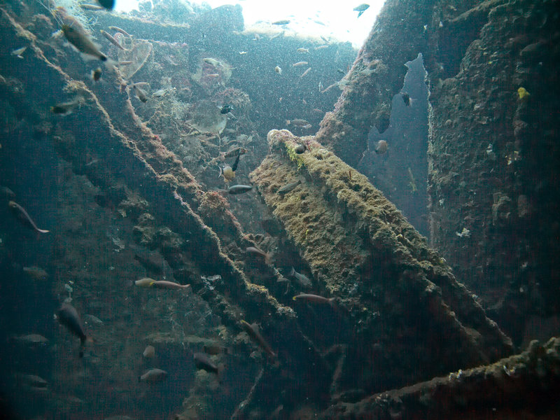 Wreck, Japanese Patrolboat